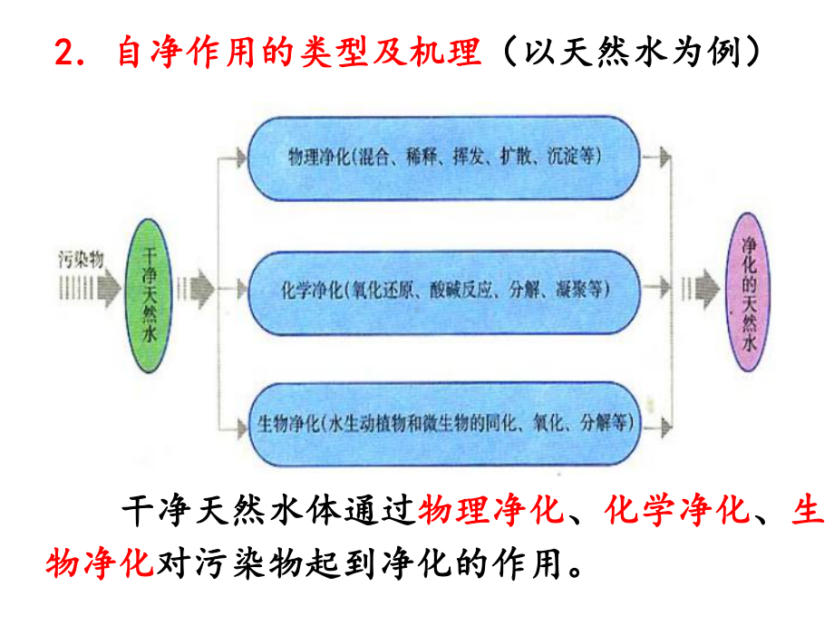 21水污染及其成因课件6.ppt_第3页