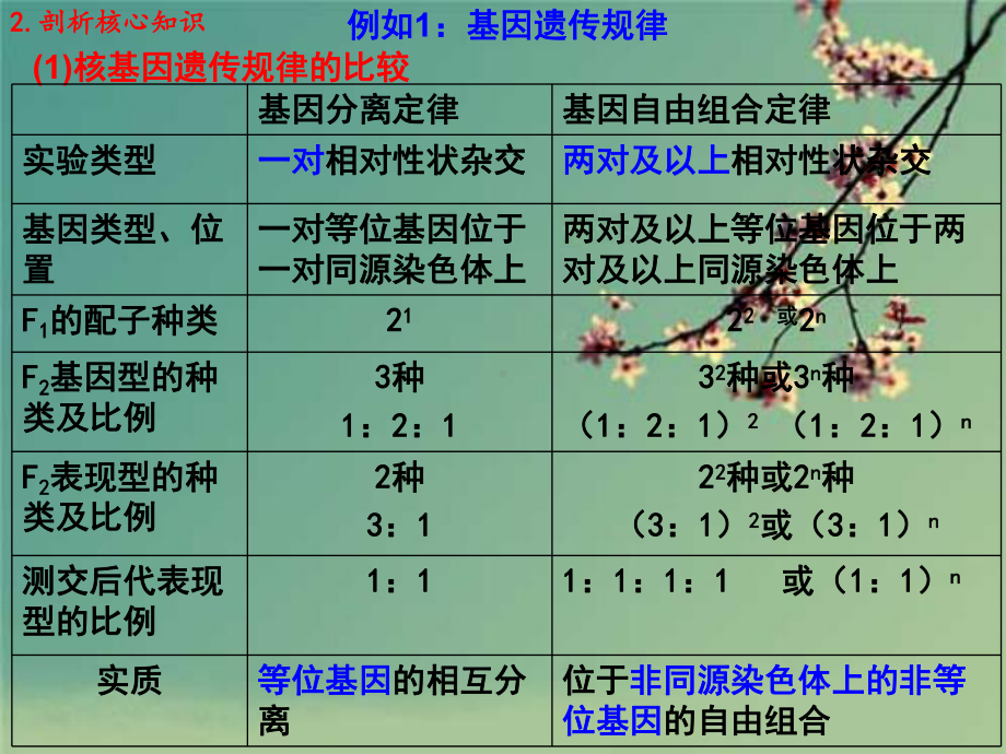 2020年高考生物遗传规律专题复习课件新人教版3.ppt_第3页