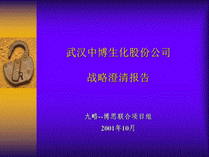 中博生化战略澄清报告1课件.ppt