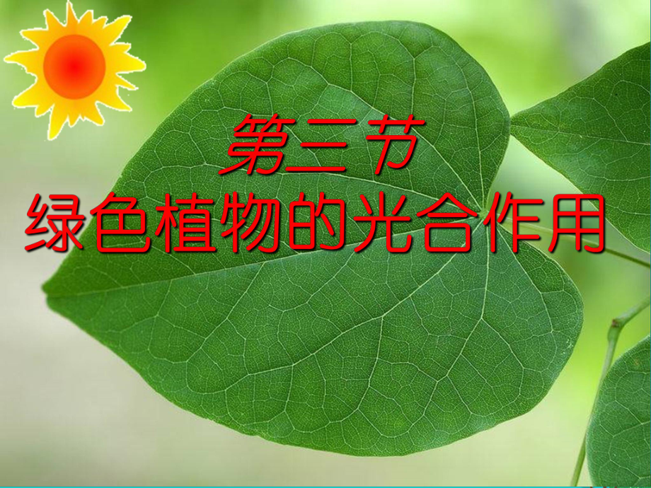 七年级生物上册213绿色植物的光合作用课件1济南版.ppt_第3页