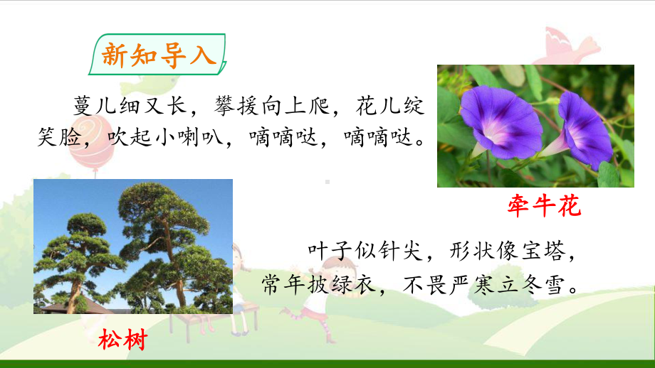 《习作：我的植物朋友》教用课件.pptx_第3页