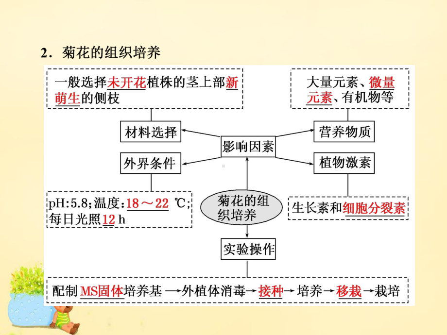 （三维设计）2017届高三生物一轮复习 生物技术实践 第三讲 植物组织培养、DNA技术及植物有效成分的提取课件（选修1）.ppt_第2页