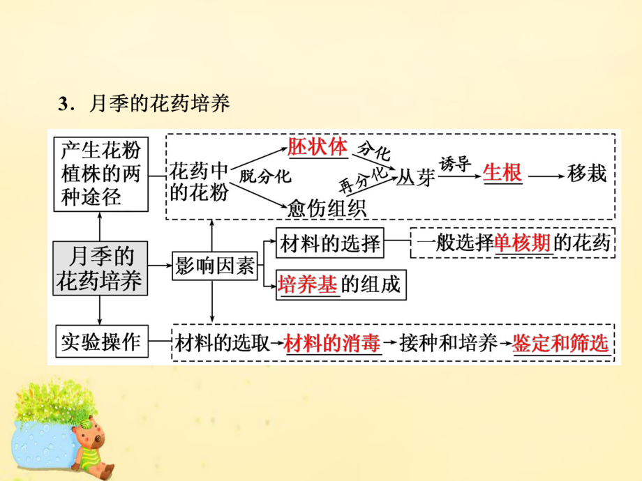 （三维设计）2017届高三生物一轮复习 生物技术实践 第三讲 植物组织培养、DNA技术及植物有效成分的提取课件（选修1）.ppt_第3页