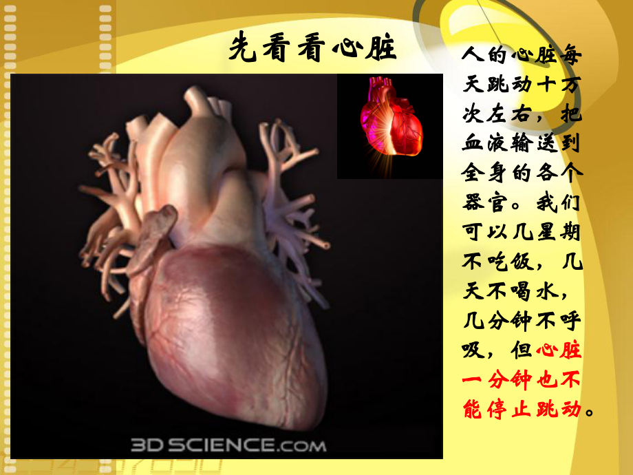 PCI技术围手术期抗血小板治疗课件.ppt_第3页