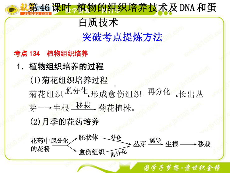 2012届高三生物一轮复习课件：第十一单元 第46课时 植物的组织培养技术及DNA和蛋白质技术（新人教版）.ppt_第1页