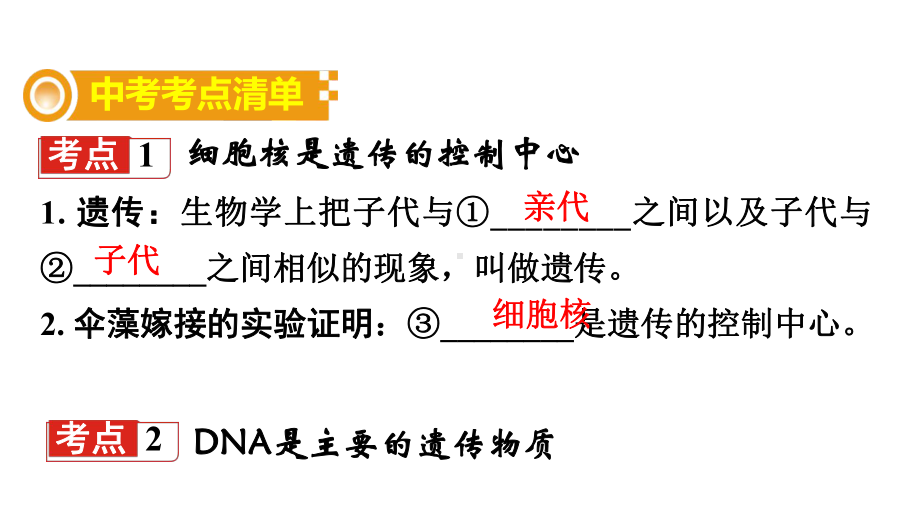 中考生物复习：生物的遗传和变异济南版课件.ppt_第2页