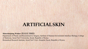 ArtificialSkin人工皮肤的比较课件.pptx