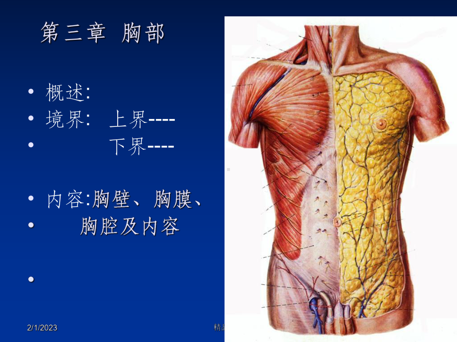 《局部解剖学胸部》课件.ppt_第2页