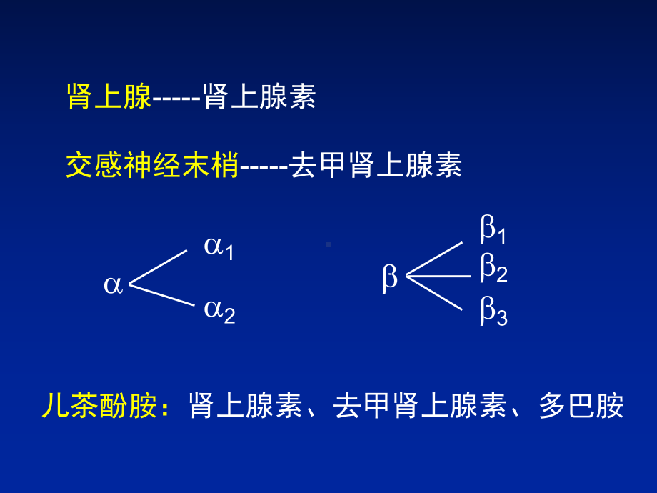 β受体阻滞剂在冠心病中的应用1课件.ppt_第2页