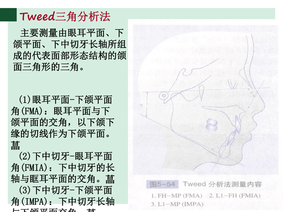 X线头影测量分析方法解析课件.ppt_第3页