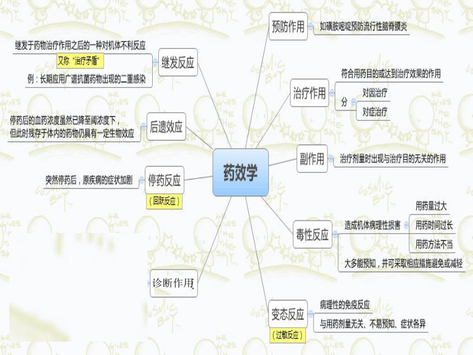 angel药物代力动学课件.ppt_第2页