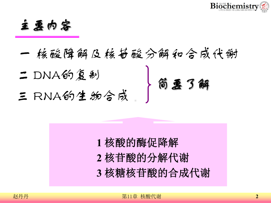 11 核酸代谢课件讲义.ppt_第2页