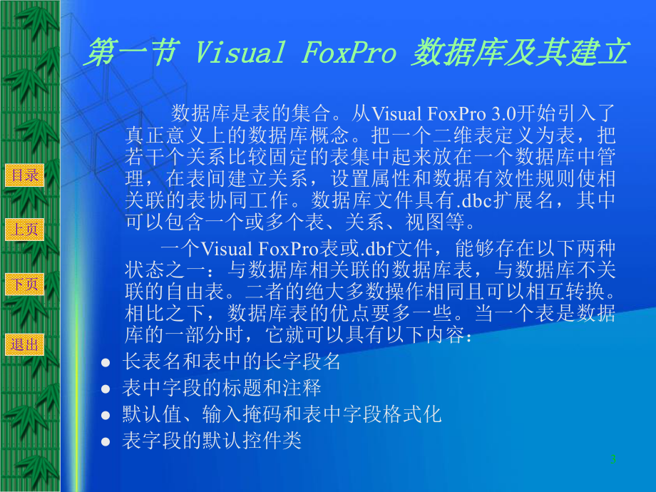 VisualFoxPro程序设计基础课件第四章.ppt_第3页