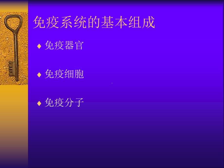 (课件)免疫器官和组织.ppt_第2页