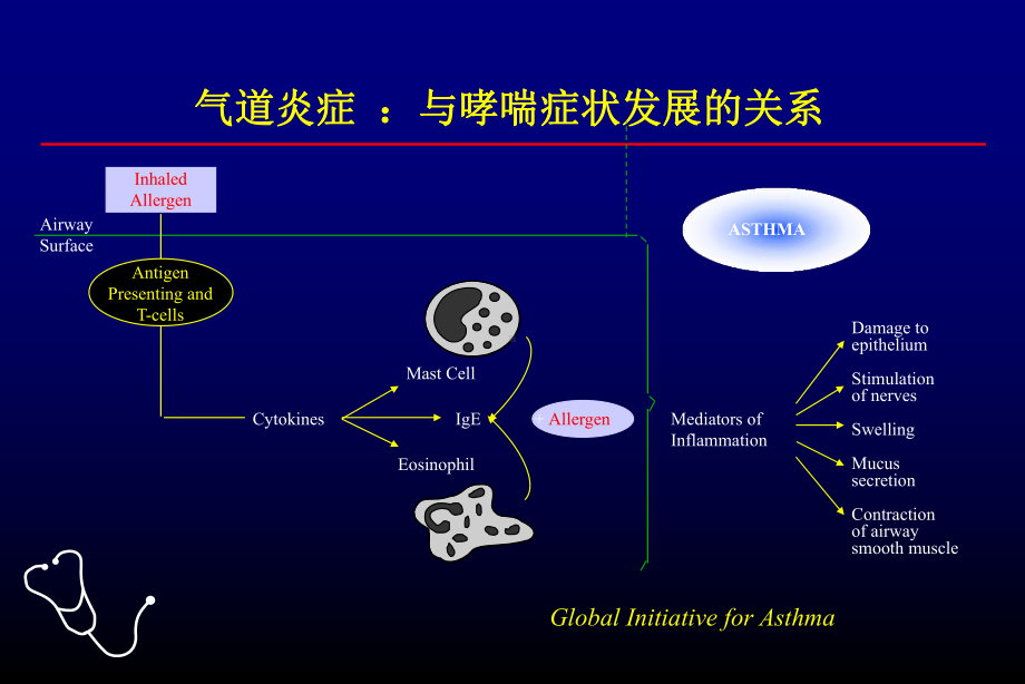 [医学]哮喘诊治和GINA的演变协和医院2课件.ppt_第3页