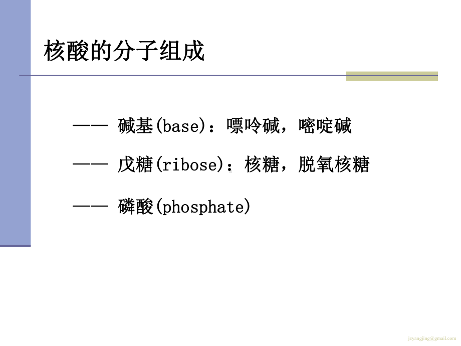 [医学]生物化学 核酸与核苷酸代谢课件.ppt_第2页