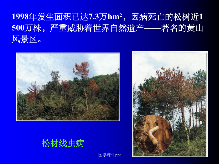 《植物病虫害知识》课件.ppt_第3页