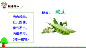 《一个豆荚里的五粒豆》课件完美版1.ppt