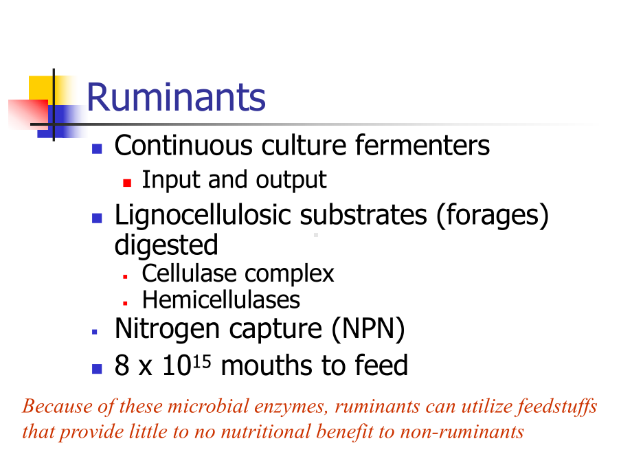 -Rumen-Fermentation-大学动物营养学课件-英文版.ppt_第3页