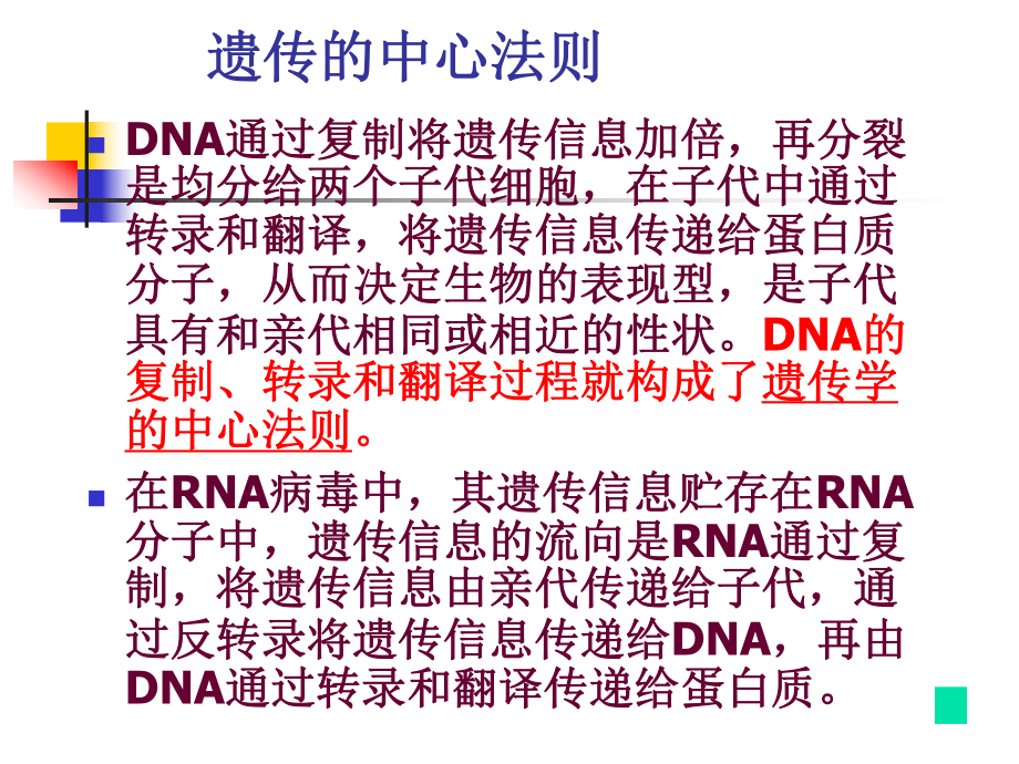 yong 201110 dna生物合成(最后动画)07级用课件.ppt_第3页