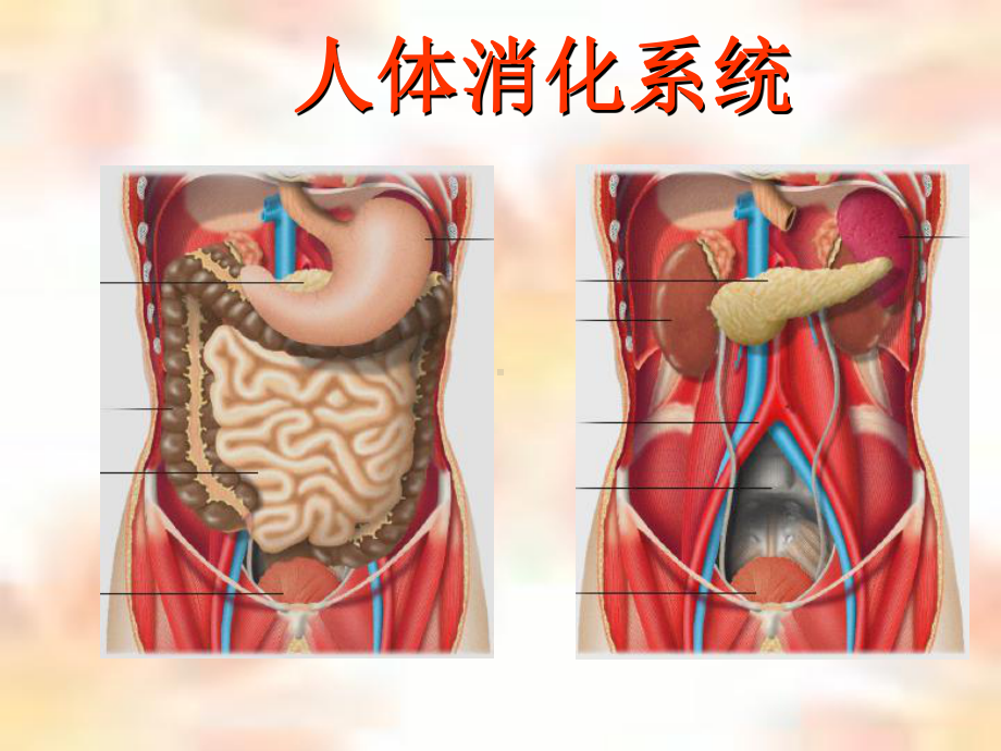 专业医师告诉你怎样注意饮食营养与健康课件.ppt_第3页