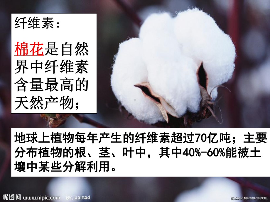 23分解纤维素的微生物的分离课件.ppt_第3页