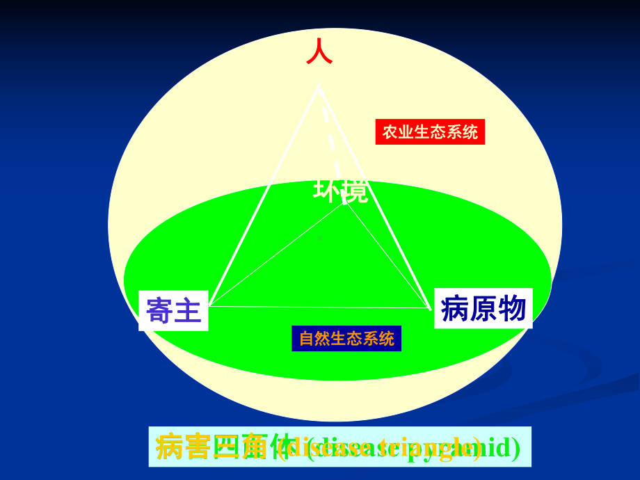 -种传病害的防治-种传病虫害-教学课件.ppt_第2页