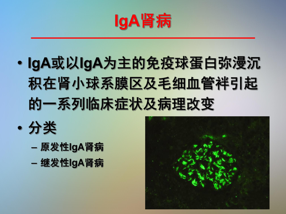 KDIGO指南解读IgAN刘必成课件.pptx_第3页