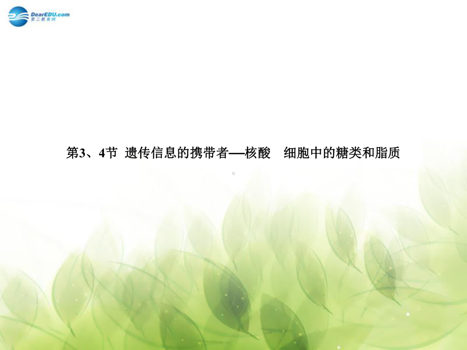 （红对勾）2015高考生物一轮总复习 第2章 第3、4节 遗传信息的携带者 核酸 细胞中的糖类和脂质课件 新人教版必修1.ppt_第3页