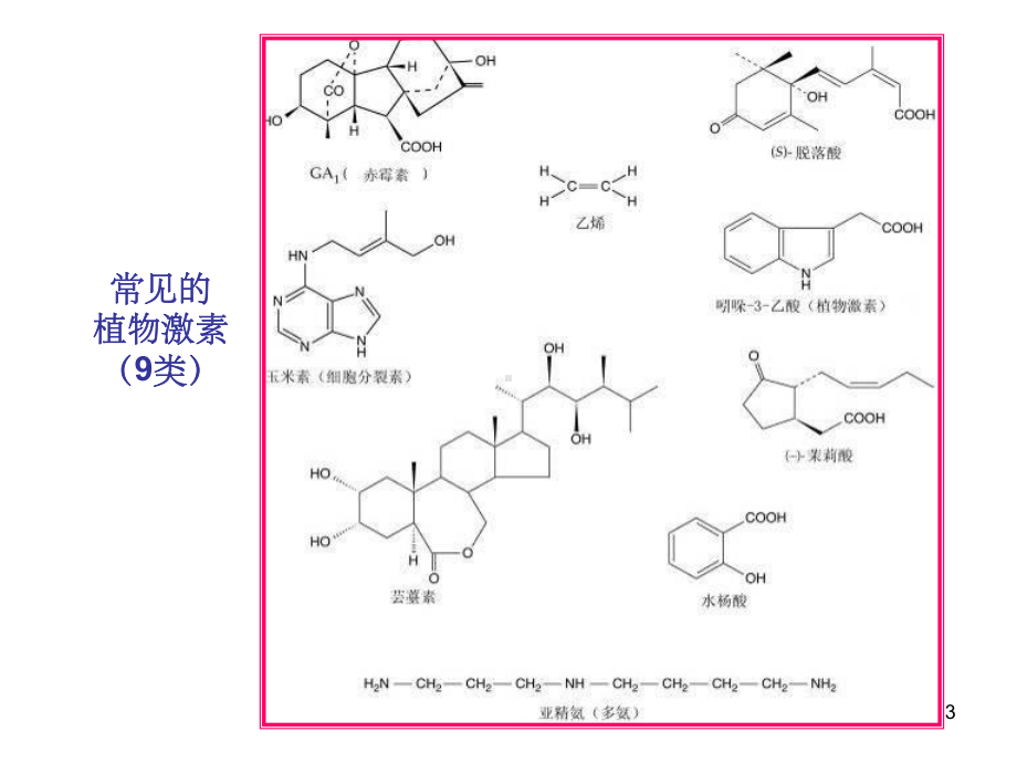 《植物的生长物质》课件.ppt_第3页