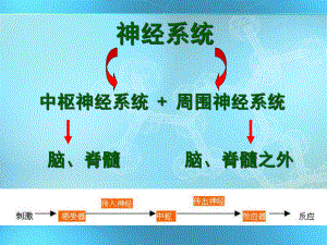 5拟胆碱药和抗胆碱药课件讲义.ppt