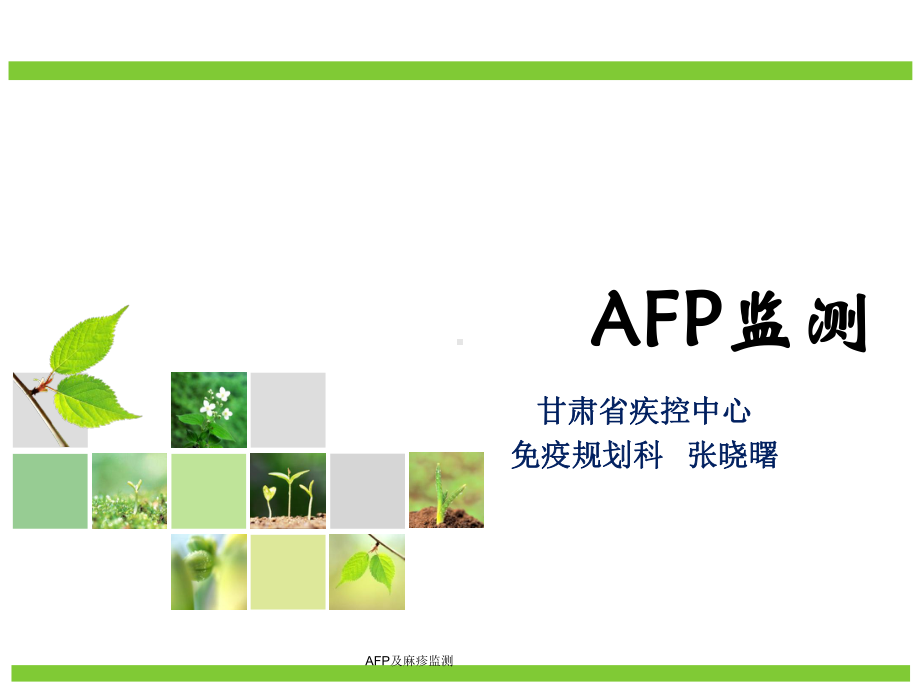 AFP及麻疹监测课件.ppt_第1页