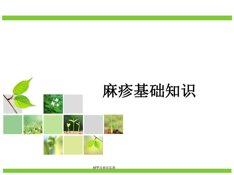 AFP及麻疹监测课件.ppt_第3页