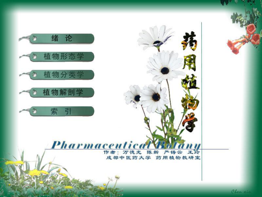 D叶-药用植物学教学课件.ppt_第1页