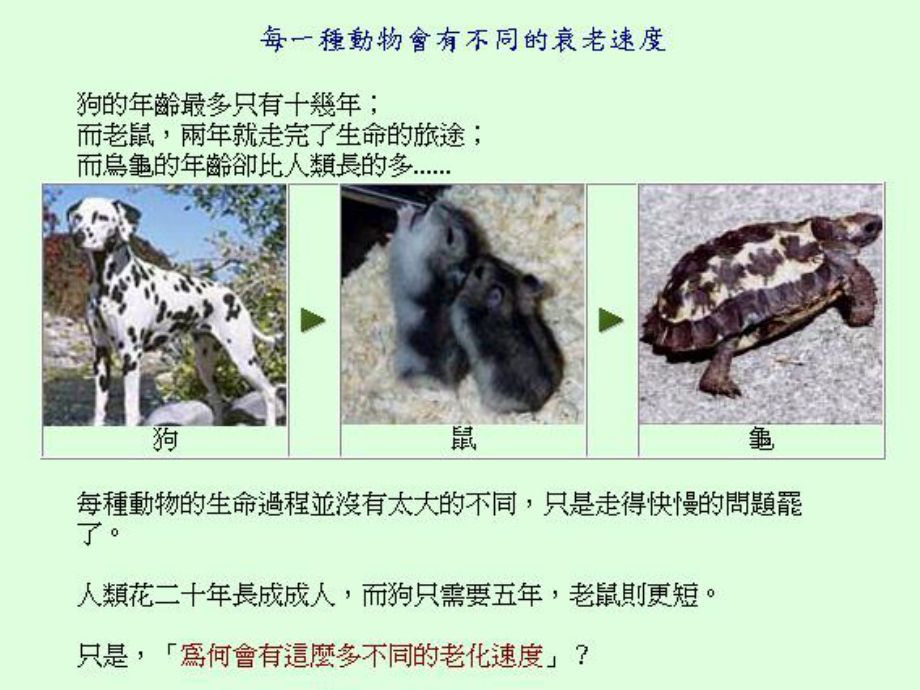 （医学生物）延缓老化与预防疾病的饮食课件.ppt_第2页