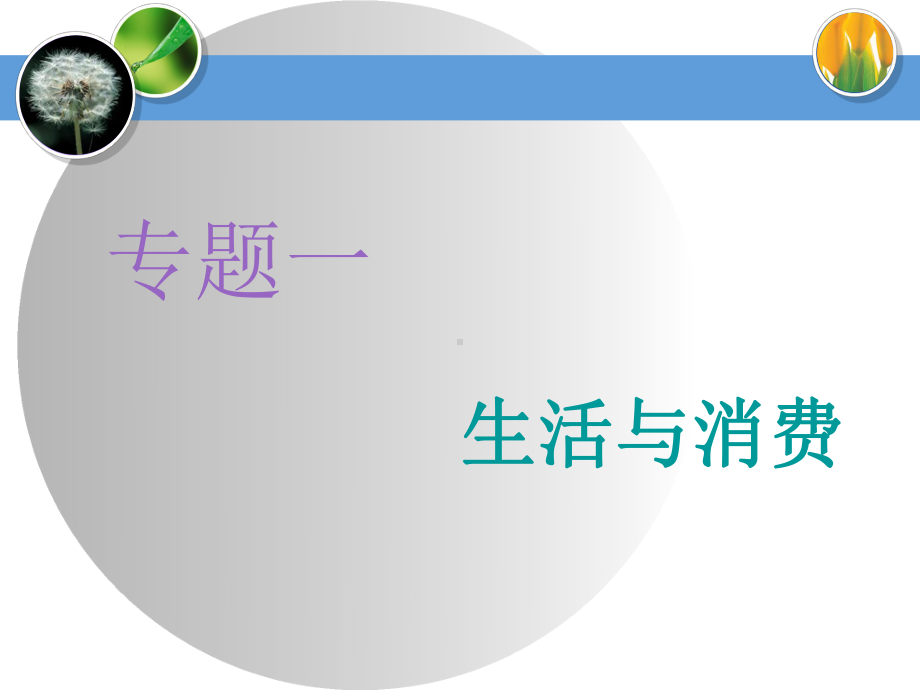 2021年新高考政治二轮课件：专题一生活与消费.ppt_第2页