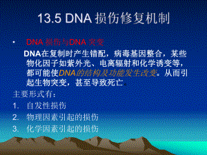 DNA损伤修复机制课件.ppt