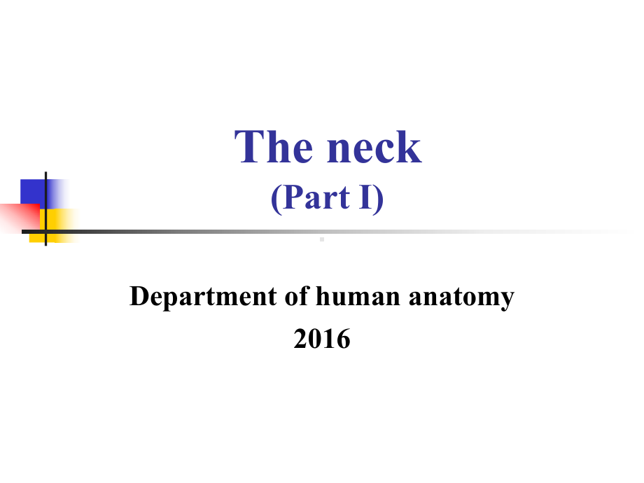 The-neck(Part-1)-《局部解剖学》课件.ppt_第1页