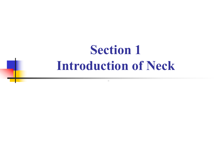 The-neck(Part-1)-《局部解剖学》课件.ppt_第3页