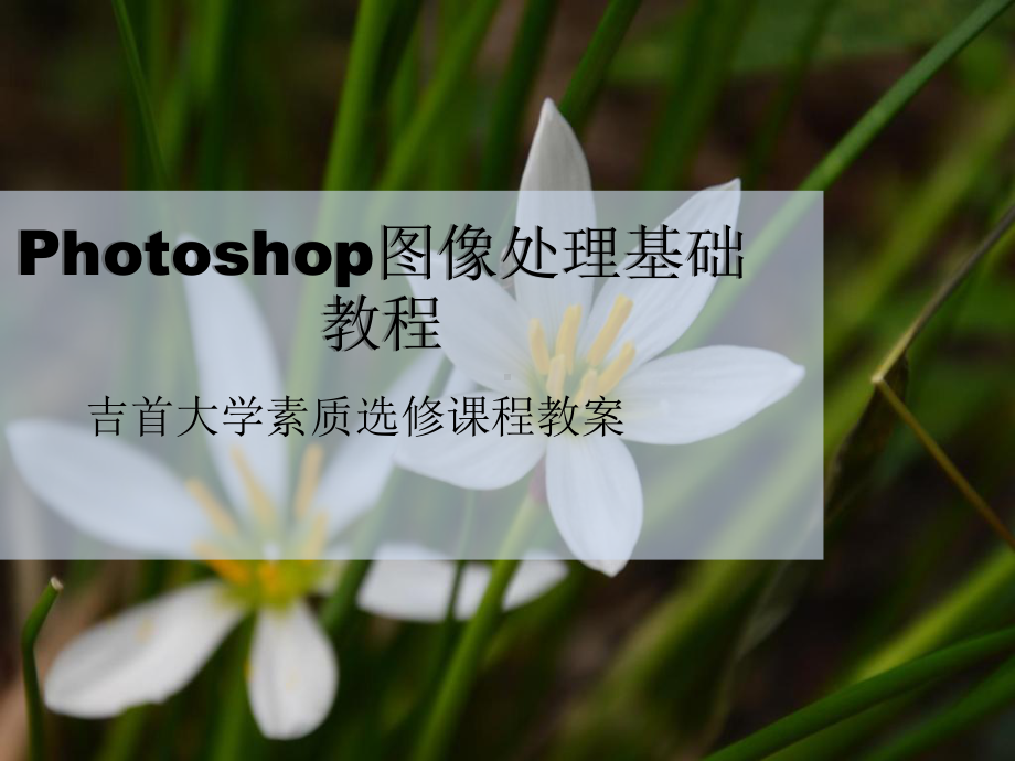 Photoshop图像处理教程课件.ppt_第1页