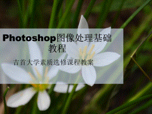 Photoshop图像处理教程课件.ppt