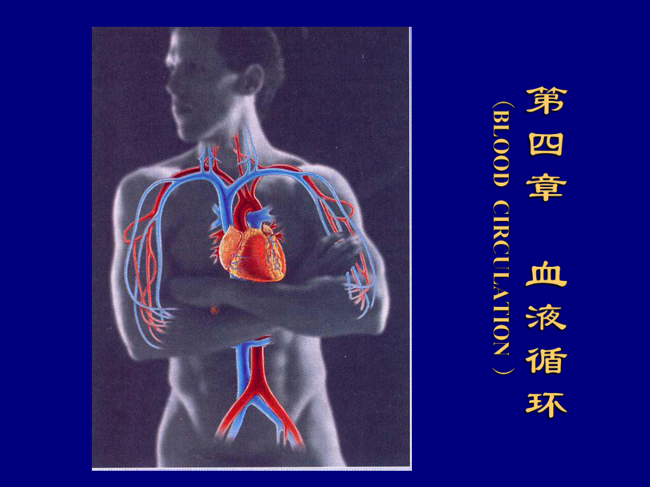 (生理学课件)6-循环系统1.ppt_第1页