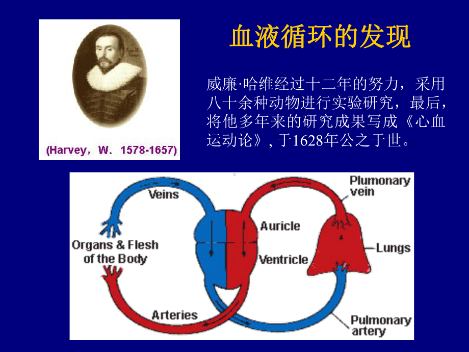 (生理学课件)6-循环系统1.ppt_第2页