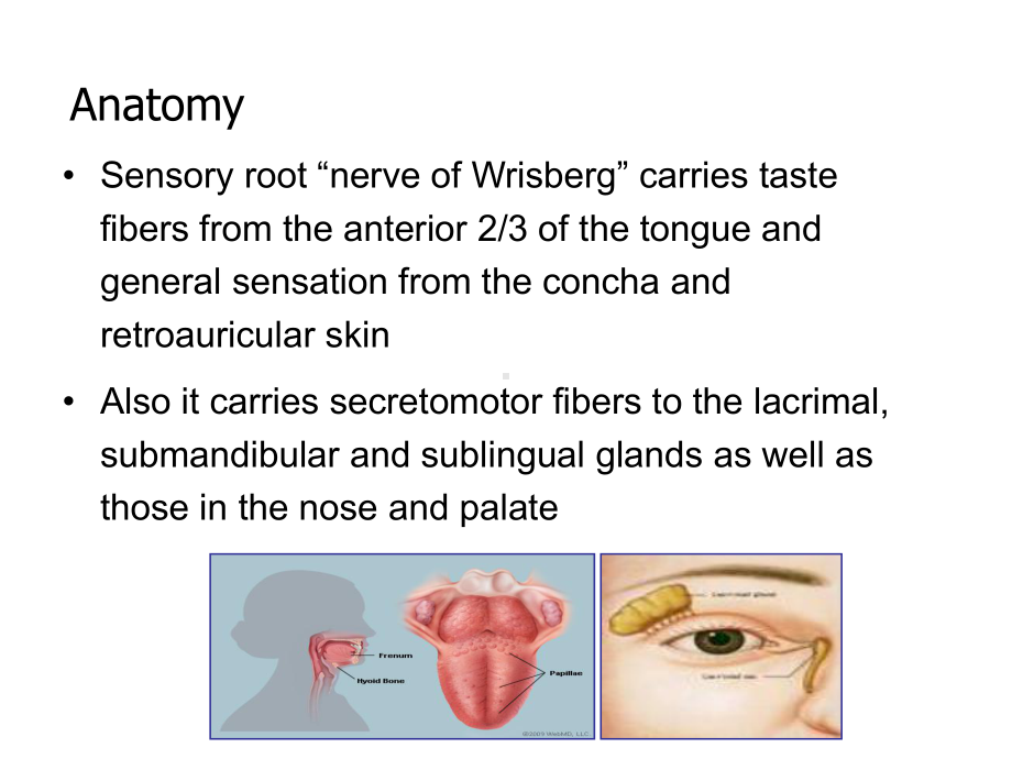 上海交通大学耳鼻咽喉科学英文版课件 facial nerve palsy.ppt_第3页