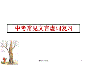 中考常见文言虚词复习课件整理.ppt