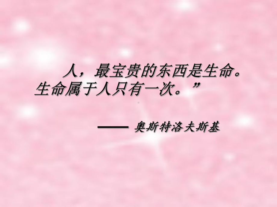 《让生命之花绽放》珍爱生命课件.ppt_第2页