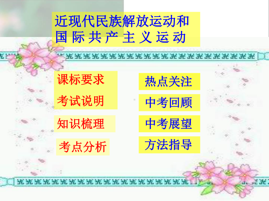 专题复习：近现代民族解放运动和国际共产主义运动课件人教版.ppt_第2页