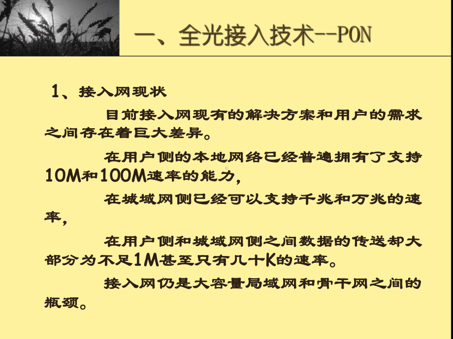 epon在广电网络中的应用-课件.ppt_第2页