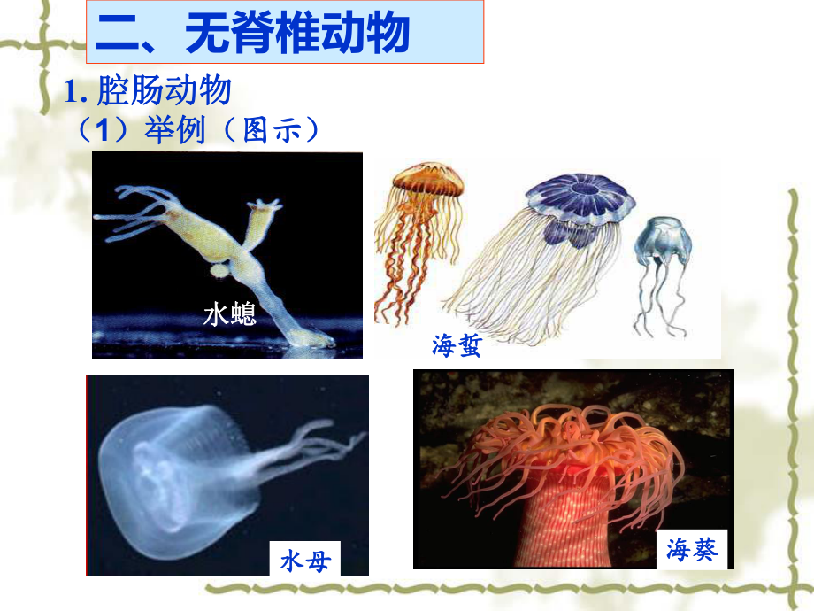 中考生物复习名师(15份)人教版8课件.ppt_第3页