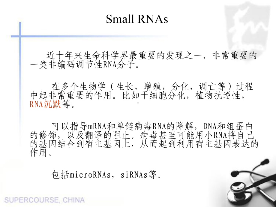 SmallRNAsinviralinfectionandhostdefense生物化学与分子生物学课件.ppt_第3页